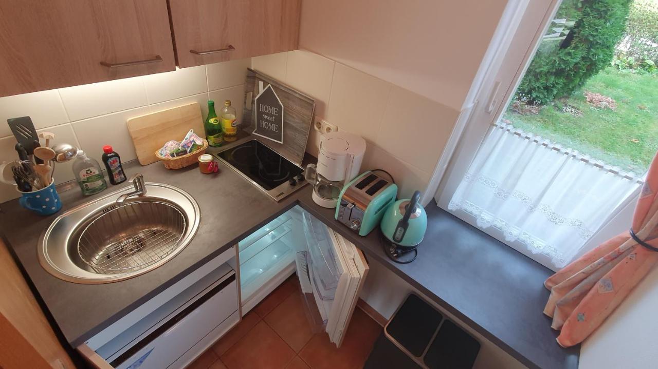 Ferienwohnung Am Dresdner Elbhang ドレスデン エクステリア 写真