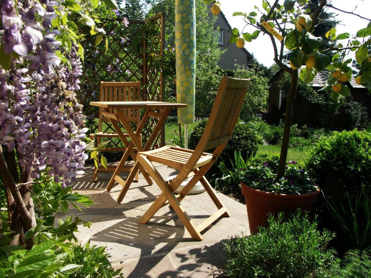 Ferienwohnung Am Dresdner Elbhang ドレスデン エクステリア 写真